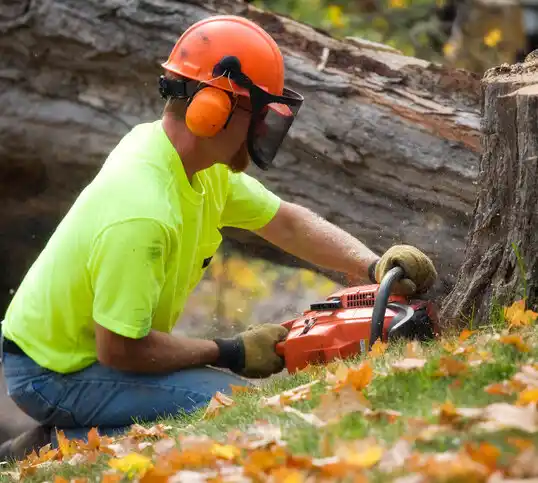 tree services Hugo